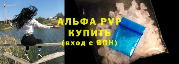 прущие грибы Воткинск