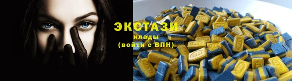 хмурый Бикин