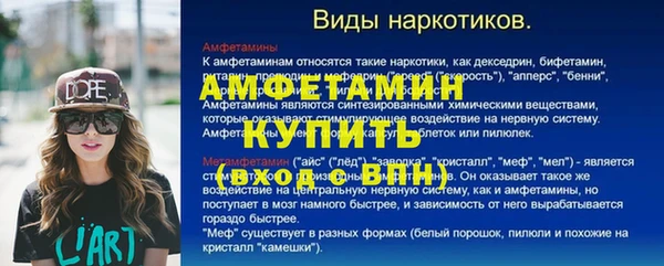 ПСИЛОЦИБИНОВЫЕ ГРИБЫ Горно-Алтайск