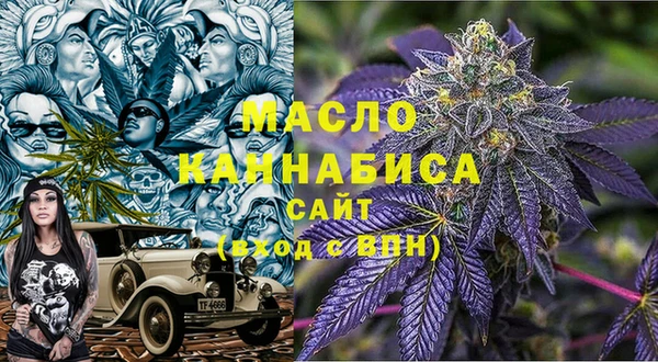 хмурый Бикин