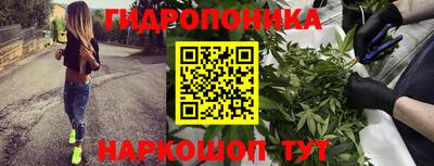 кокаин Берёзовский