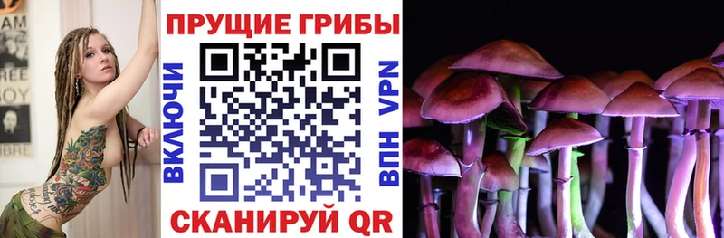 Псилоцибиновые грибы Magic Shrooms  дарк нет телеграм  Большой Камень  наркошоп 