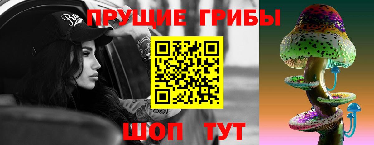 Большой Камень  Галлюциногенные грибы мицелий  Вход с VPN 